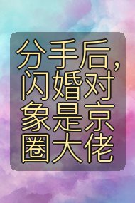 分手后,闪婚对象是京圈大佬封面