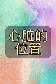 心脏的位置封面